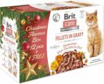Brit Care Cat karácsonyi gyűjtőcsomag, 12+1 (293-100934)