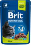 Brit Pouch Brit Premium Cat Sterilisod bárány 100g (293-111831)