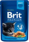 Brit Bag Brit Premium Cat Kitten csirkedarabok 100g (293-100274)