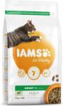 Iams Cat Adult Bárány 2kg (1753-151748)