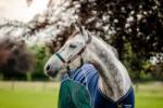 Horseware Ireland Signature Braided kötőfék, "Brown, Navy & Hunter Green" - Full