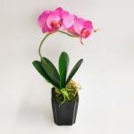 Minikek Orchidea kerámia kaspóban - Élethű - Real Touch - 30cm - Rózsaszín