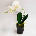 Minikek Orchidea kerámia kaspóban - Élethű - Real Touch - 30cm - Krémfehér