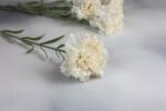 Minikek Szálas élethű művirág szegfű világos fehér