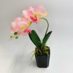Minikek Orchidea kerámia kaspóban - Élethű - Real Touch - 30cm - Púder