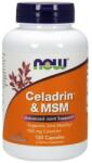 NOW Celadrin & MSM 500 mg [120 капсули]