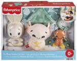 FISHER PRICE - Infant Fisher Price Set 4 Jucarii (mthrb17)