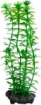 TETRA Dekoráció Tetra Plant Anacharis S 15cm (A1-270176)