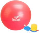ARMAGEDDON Gymnastic Ball With a Pump 65 cm / Гимнастическа Топка с Помпа 65 см Розов