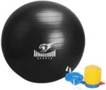 ARMAGEDDON Gymnastic Ball With a Pump 75 cm / Гимнастическа Топка с Помпа 75 см Черна