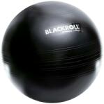 Blackroll Blackroll® Gymball | Фитнес топка [56-65 cm]