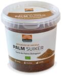 Mattisson Healthstyle Organic Arenga Palm Sugar [450 грама]