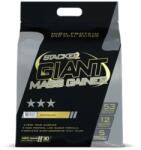 Stacker Giant Mass Gainer [6800 грама] Ванилия