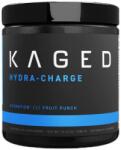 Kaged Muscle Hydration [282-288 грама] Плодов Пунш
