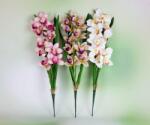 Minikek Élethű orchidea csokor vegyes színek 1. DARAB ÁR