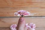 Minikek Fejvirág cirmos rózsaszín