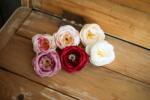 Minikek Angolrózsa rózsafej művirág fej - 6.5cm - Halvány barack