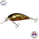 Vidra Lures Vobler VIDRA LURES Agility 45S, 4.5cm, 6g, culoare GLH (holo) (AG45S-GLH)