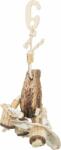 TRIXIE Jucărie naturală, pentru păsări, păstaie de mahon, scoici, 26 cm (TX-58994)