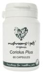  Coriolus Plus (400 mg) 60 db
