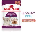 Royal Canin Sensory Feel Gravy 12x85g - szószos nedves táp felnőtt macskák részére