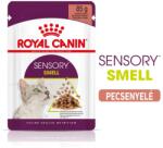 Royal Canin Sensory Smell Gravy 12x85g - szószos nedves táp felnőtt macskák részére