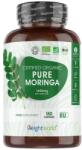 WeightWorld Pure Moringa 550 mg [180 капсули]