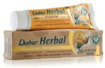 Dabur Herbal Ayurvedikus fogkrém 100ml (GRD2829)