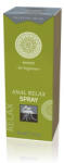 HOT Anal Relax Spray beginners 50 ml (4042342005172)