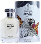 Hayari Paris Esprit Infini EDP 100 ml Parfum