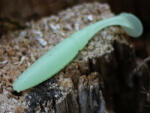 Rapture Power Shad Dual 10cm Glowing Plasztik Csali 8db (188-00-927)