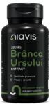 NIAVIS Branca Ursului Extract, 380 mg, 60 capsule, Niavis