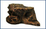 AquaDeckor | Magas teknős kilépő (M) akvaterráriumba - 26x18x13 cm (068)