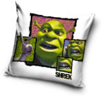  Shrek Fury párnahuzat 40x40 cm Velúr (CBX039026) - oliviashop