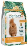 bilmama Perfect cat adult chicken low grain - висико качествена храна за пораснали котки от всички породи, с пиле и кафяв ориз, 1, 5 кг - Турция