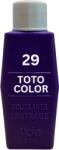 Casati Color Totocolor Violetto T29 15ml