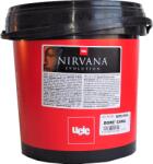 Casati Color Nirvana Classic Dore 2, 5l Dekor Festék