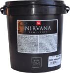 Casati Color Nirvana Classic Oro Brillante 1, 25l Dekor Festék