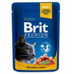 Brit Pliculeț BRIT Premium Cat Salmon & Trout 100 g