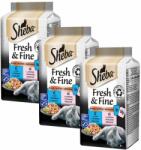 Sheba Sheba Fresh & Fine capsule pentru pisici, somon și ton 3 x (6 x 50 g)