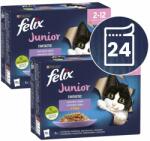 FELIX Felix Fantastic Junior selecție delicioasă 24 x 85 g