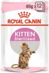 Royal Canin Royal Canin Kitten Kitten Capsulă sterilizată în suc pentru pisoi castrați 12 x 85 g