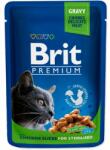 Brit Pliculeț BRIT Premium Cat Chicken Slices for Sterilised 100 g