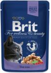 Brit Pliculeț BRIT Premium Cat Cod Fish 100 g