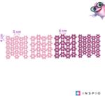 INSPIO Falmatricák lányos szobába - Rózsaszín virágok (9554f) (9554f)