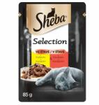 Sheba Sheba Selection Pui și vită, pungă 85 g