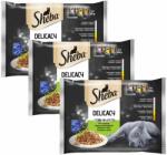 Sheba Sheba Delicacy capsule pentru pisici, selecție mixtă în jeleu 3 x (4 x 85 g)