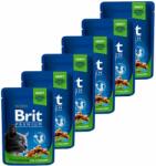 Brit Pliculeț BRIT Premium Cat Chicken Slices for Sterilised 6 x 100 g