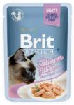 Brit Pliculeț BRIT Premium Cat Delicate Fillets in Gravy with Salmon for Sterilised 85 g