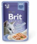 Brit Pungă BRIT Premium Cat Somon în jeleu 85 g